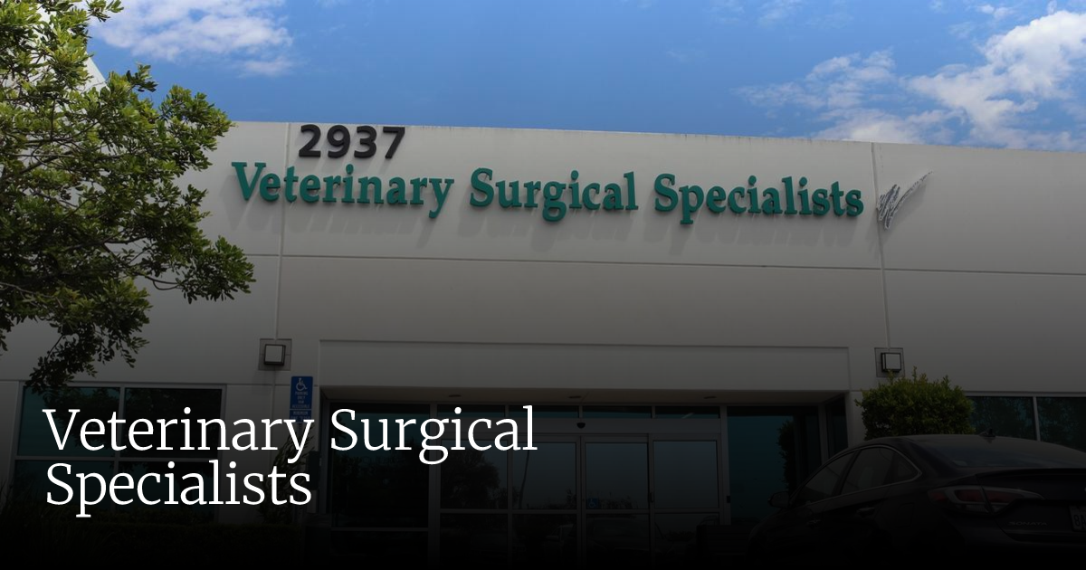Veterinary Surgical Specialists